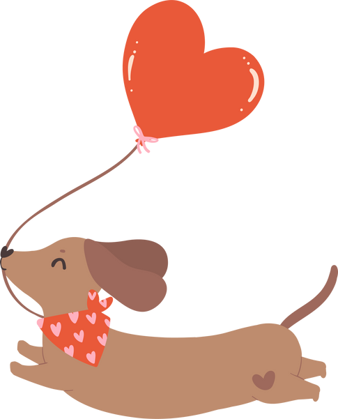 Cute Valentine Dog Dachshund with heart balloon