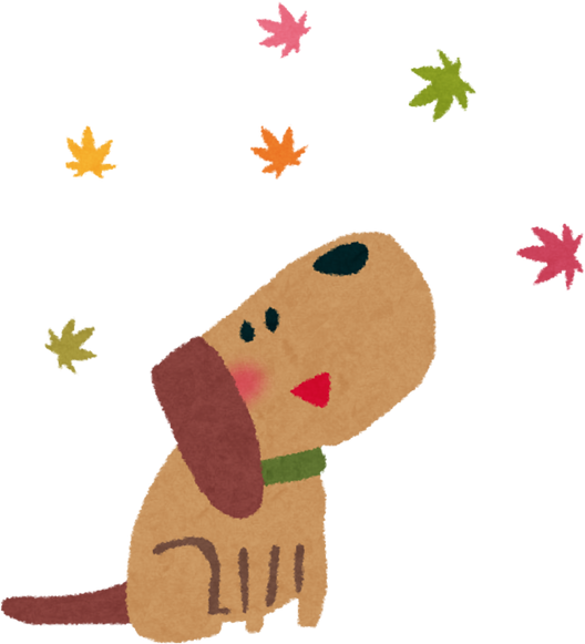 Hand Drawn Illustration of a Joyful Dog Admiring Falling Autumn Leaves